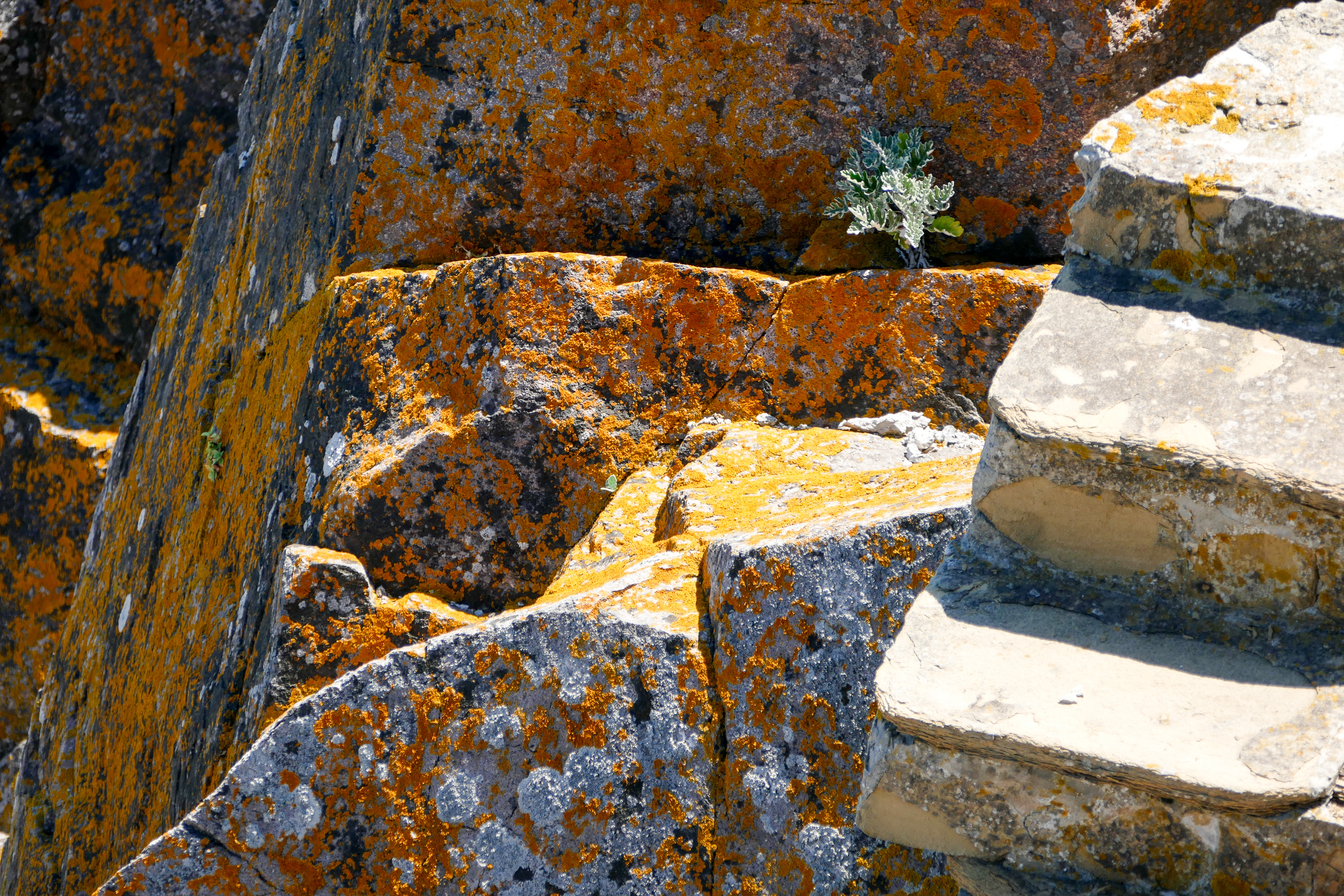 Impressionen in Sozopol